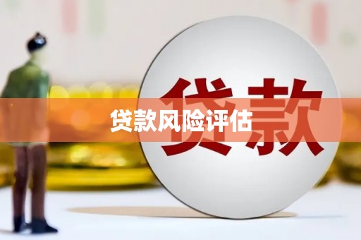巫溪贷款风险评估