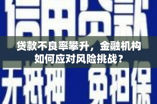 巫溪贷款不良率攀升，金融机构如何应对风险挑战？