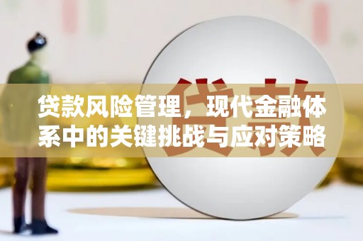 巫溪贷款风险管理，现代金融体系中的关键挑战与应对策略
