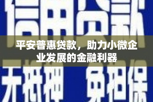 巫溪平安普惠贷款，助力小微企业发展的金融利器