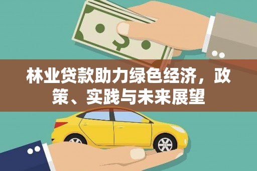 巫溪林业贷款助力绿色经济，政策、实践与未来展望