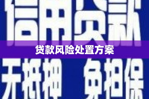 巫溪贷款风险处置方案